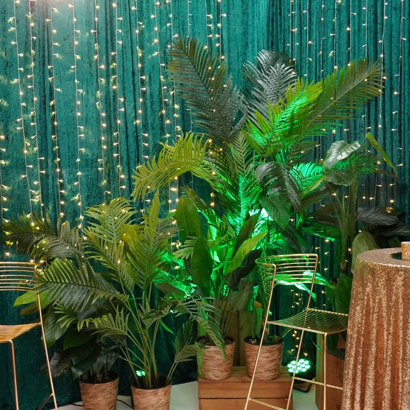 Plants