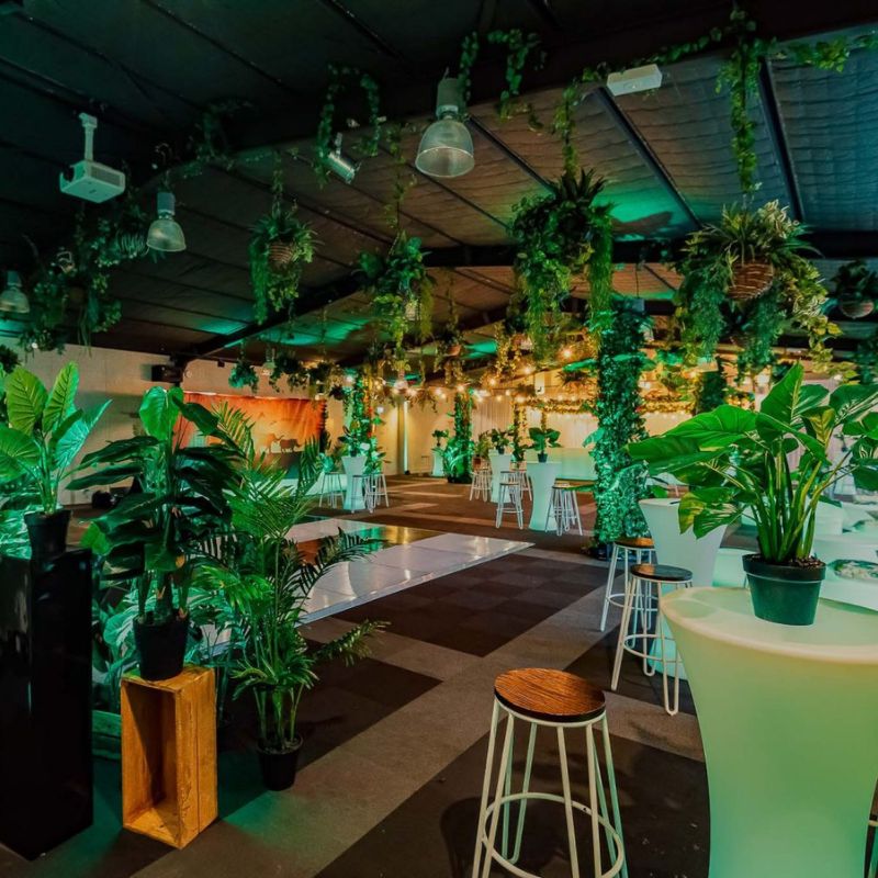 Jungle