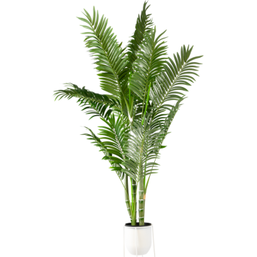 Bamboo Pot Plant 