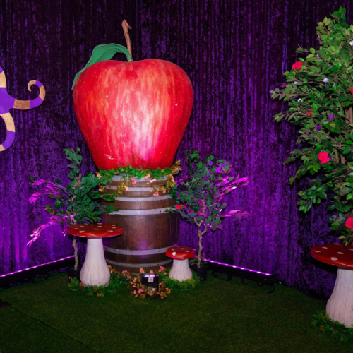 crushed velvet purple drape with apple prop