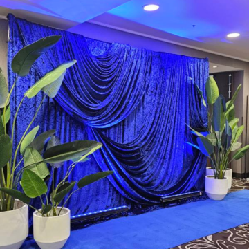 royal blue crushed velvet drape photo backdrop