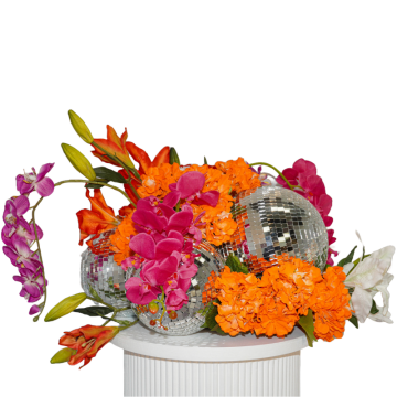 Topical Disco Cluster 3