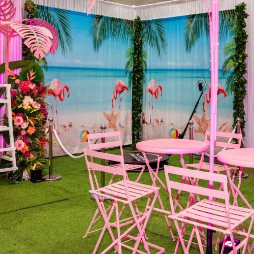 Summer Beach Flamingo Backdrop