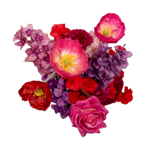 pink,red and purple florals