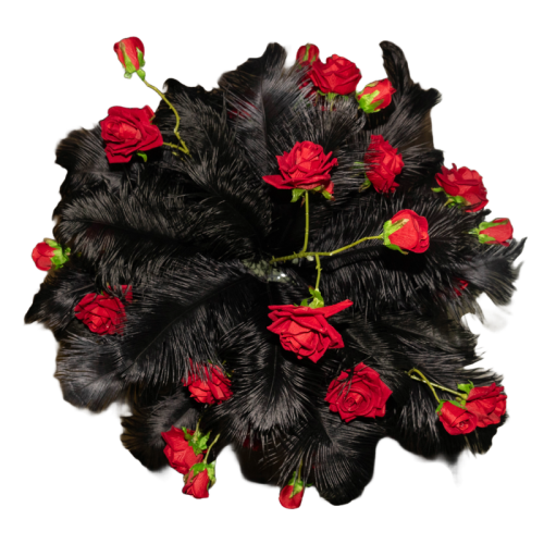 overhead black feathers and red roses