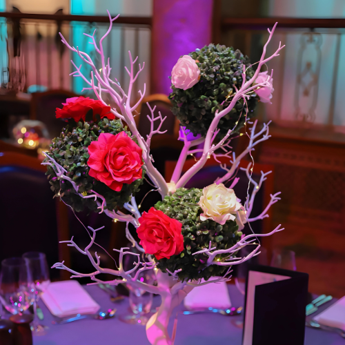 Boxwood Ball 2