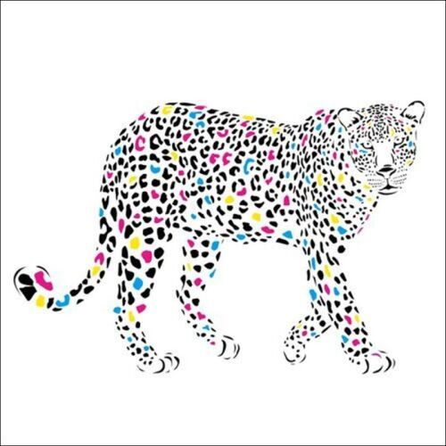 Standard Backdrop - Coloured Cheetah