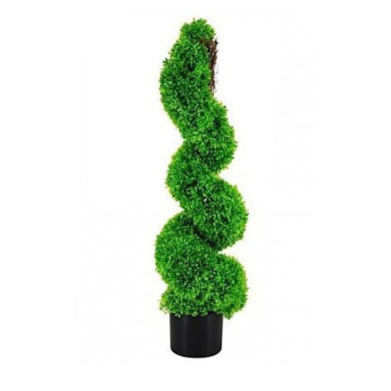 Boxwood Spiral Tree